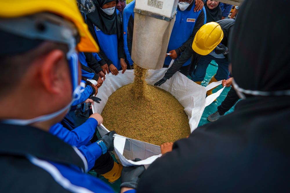 Inside The AgroBiz Project That Trained Bruneian Youth To Farm - Biz Brunei